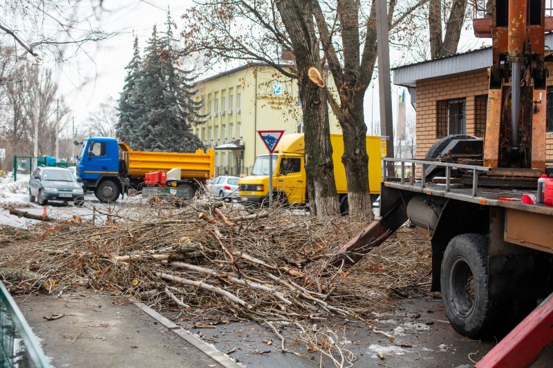 Emergency Tree Removal
